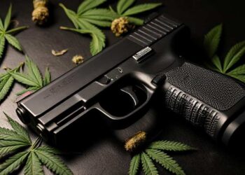 Own a Firearm and Like Medical Cannabis? A Federal Appeals Court Just Handed You A Win