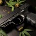 Own a Firearm and Like Medical Cannabis? A Federal Appeals Court Just Handed You A Win