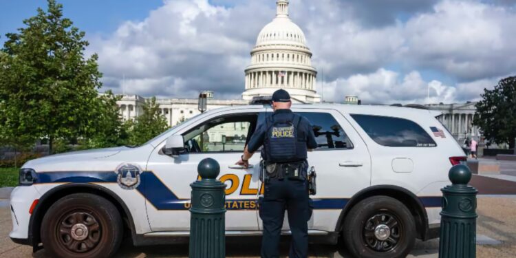 Federal agents in DC are saying Trump is tired of marijuana