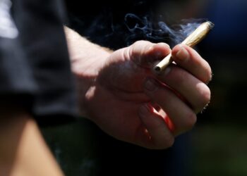 If You’re In Michigan Can You Smoke Weed in Public? Legally, No But Does Law Enforcement Care?
