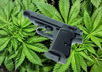Firearms & Marijuana, New Federal Court Rulings Could Change How They’re Restricted