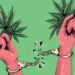 2/3rds of America Want Legal Marijuana