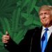 Trump Weighs Marijuana Rescheduling as Feds Call it ‘Deadly’