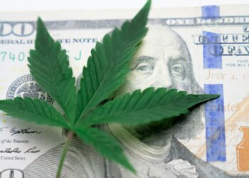Just how many banks are working within the marijuana industry?