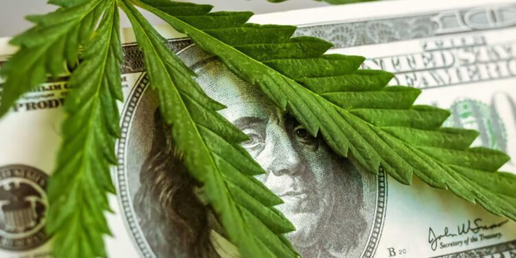 Weed Stocks are having a moment