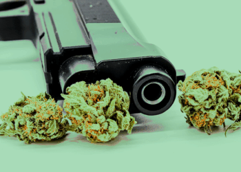 Gun Ban For Marijuana Consumers Deemed Unconstitutional, Appeals Court Dismisses Conviction