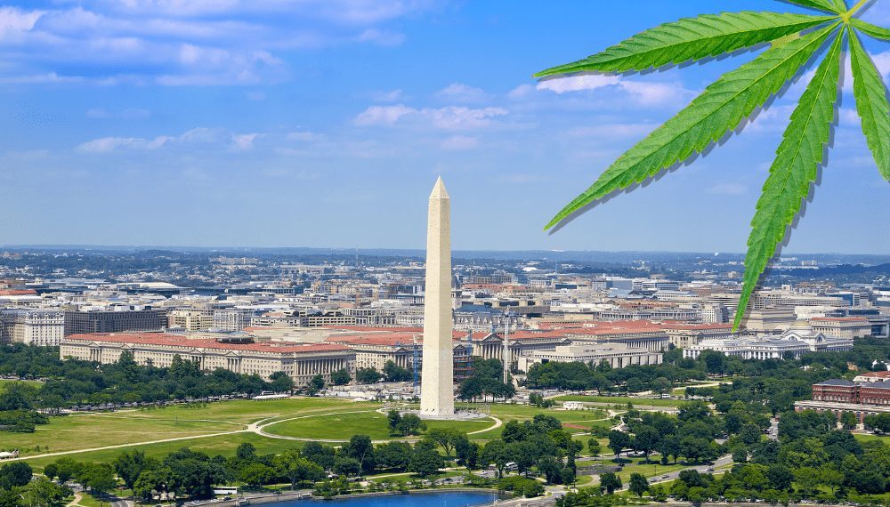 New Regulations On What Cannabis Retailers Can and Cannot Sell Coming Soon From DC