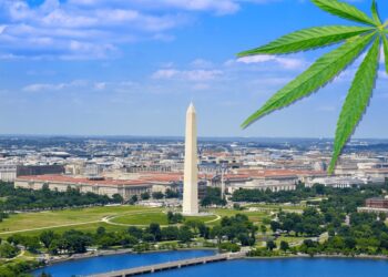 New Regulations On What Cannabis Retailers Can and Cannot Sell Coming Soon From DC
