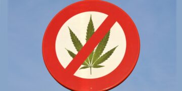 Polls show marijuana losing favor