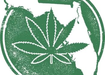 Legal Weed could be back on the ballot for Florida