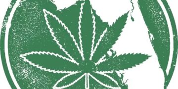 Legal Weed could be back on the ballot for Florida