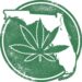 Legal Weed could be back on the ballot for Florida