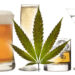 New Laboratory Studies Show  Cannabis Use May Decrease Overall Alcohol Consumption