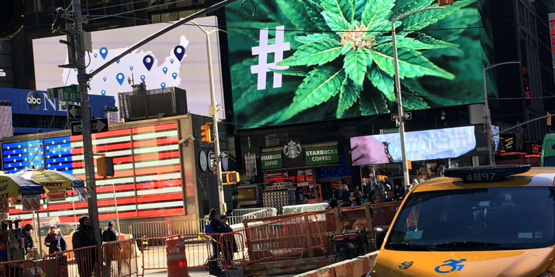 New York Cannabis Prices Plummet as Competition Rises