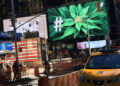 New York Cannabis Prices Plummet as Competition Rises