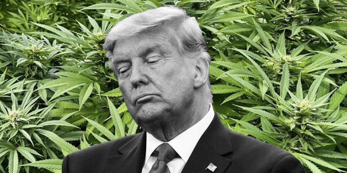 Trump’s DOJ Tells Prosecutors To Enforce Simple Possession Crimes