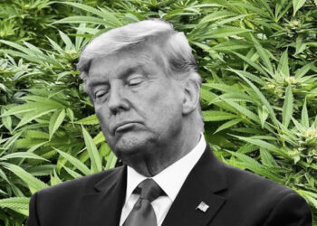 Trump’s DOJ Tells Prosecutors To Enforce Simple Possession Crimes