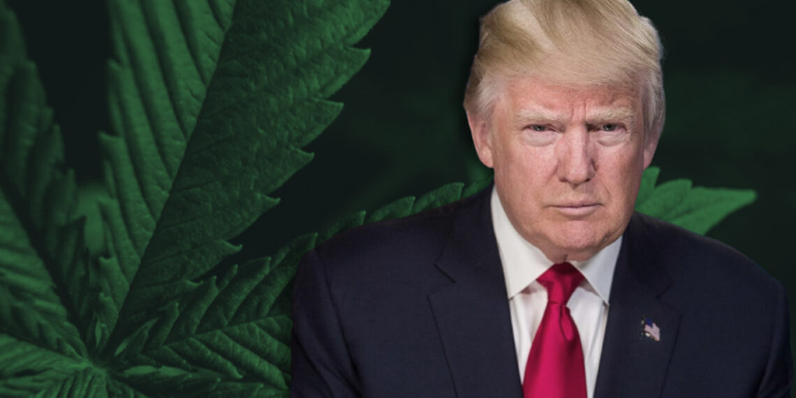 Here’s What You Need To Know About the New Hemp Ban
