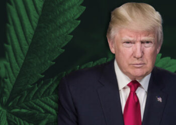 Here’s What You Need To Know About the New Hemp Ban