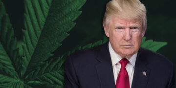 Here’s What You Need To Know About the New Hemp Ban