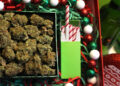 About One In Every Three Americans Say They Pregame Holiday Events With Cannabis