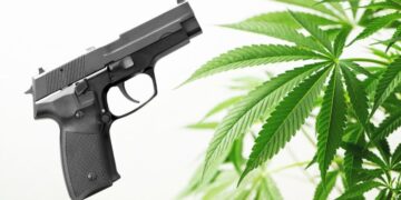 Another Ruling On Cannabis And Firearms is Headed To The Supreme Court