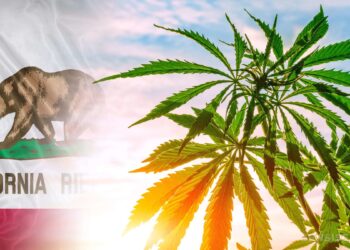 $30 Million In Cannabis Revenue To Go Towards THC Beverage Research in California