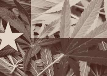 Texas is trying to raise hemp-derived THC prices by 13,000%