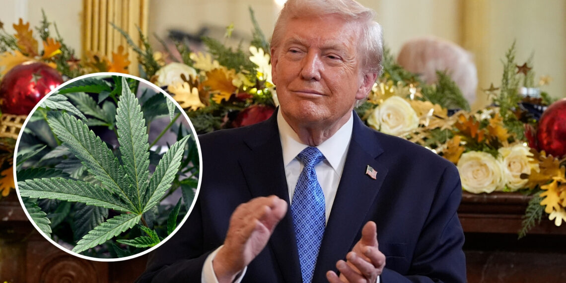Former WH Drug Czar Calls Marijuana Rescheduling ‘Massively Destructive’