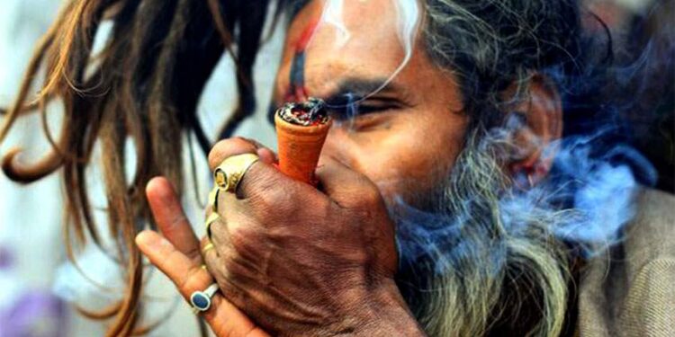 Shivaratri Festival in Nepal was filled with marijuana smoking