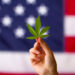 Will Any States Legalize Adult Use Cannabis In 2026?