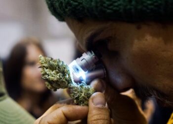 DEA Ramping Up Anti Marijuana Ad Campaigns For This Year’s 4/20