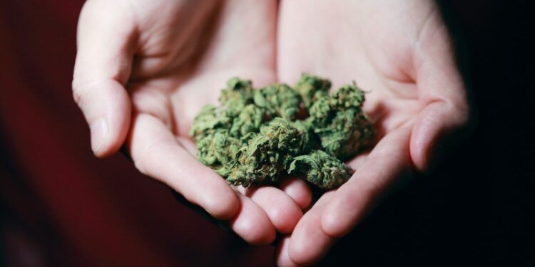 Virginia Approves Retail Marijuana