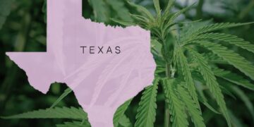 Texas Senate Approves Cannabis & Psychedelic Research