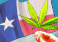 Revamping-Texas-Medical-Cannabis-Program-Is-the-Key-to-Ending-the-States-Opioid-Crisis--750x375