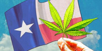 Revamping-Texas-Medical-Cannabis-Program-Is-the-Key-to-Ending-the-States-Opioid-Crisis--750x375