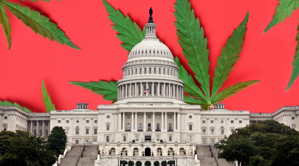 New Report Gives Update On Cannabis Rescheduling and Hemp THC Ban