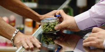 Cannabis jobs don’t pay what they used to