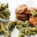 Here’s What Foods Scientists Says People With the Munchies Crave The Most