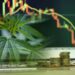 Here’s an Updated Cannabis Market Forecast Now Through 2034