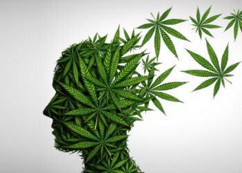 Not much evidence supporting marijuana’s benefits for mental health