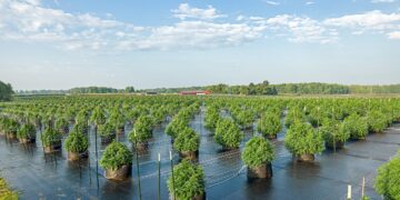 Michigan Cannabis Sales Spike After January Low, Prices Continue to Rise