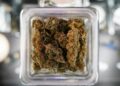 Colorado gets a big marijuana recall