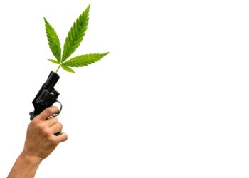 Trump Admin Looking To Halt Prosecutions Of Marijuana Users For Owning Firearms