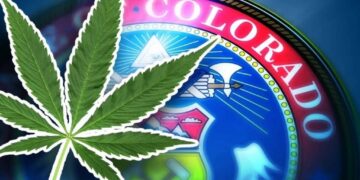 Colorado’s Hidden Hemp Market: A Closer Look at the State’s Surging Illegal Trade