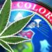 Colorado’s Hidden Hemp Market: A Closer Look at the State’s Surging Illegal Trade