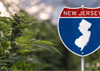 New Jersey Court Upholds Termination of Officers Over Off-Duty Cannabis Use