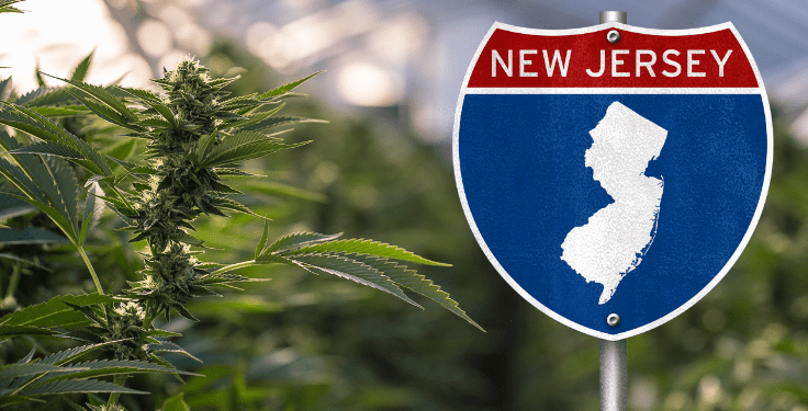 New Jersey Court Upholds Termination of Officers Over Off-Duty Cannabis Use