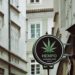 Cannabis MSOs Face Federal Lawsuit Over Alleged Deceptive Medical Marketing