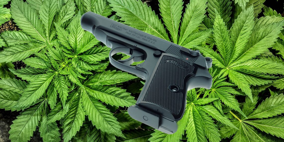 Supreme Court Shields Gun Rights for Marijuana Users in Landmark Ruling